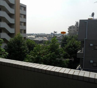 【展望】