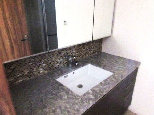 【洗面所】 | ザ・パークハウス西新宿タワー６０ | 独立洗面台