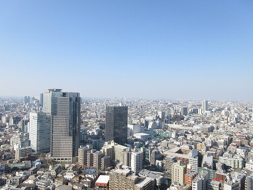 【その他】 | ザ・パークハウス西新宿タワー６０ | 眺望