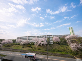 【周辺】 | 愛宕２丁目住宅 | 市立愛宕東公園まで徒歩２分