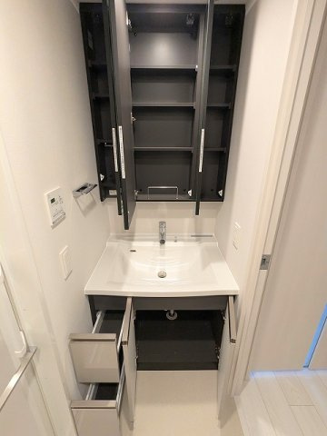 LEFOND PROGRES田原町の設備|三面鏡付ハンドシャワー付独立洗面台です