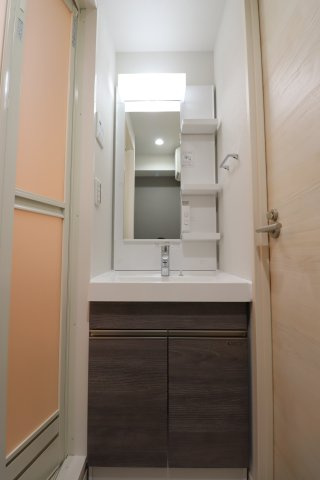 GENOVIA西川口Ⅱの洗面所