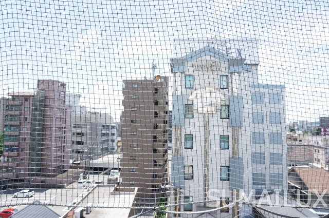 熊本市中央区九品寺１丁目の賃貸マンションの展望