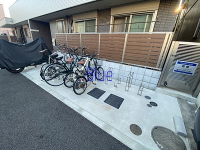 【その他】 | ブラウニー