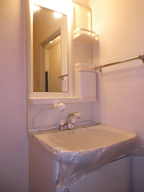 グリーンシャトレⅠの洗面所