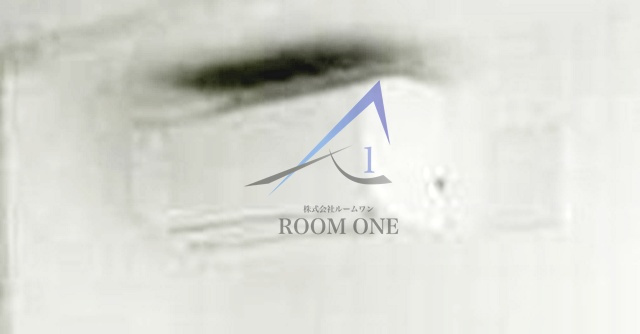 ＡＬＥＲＯ白山IIの設備|エアコンです。