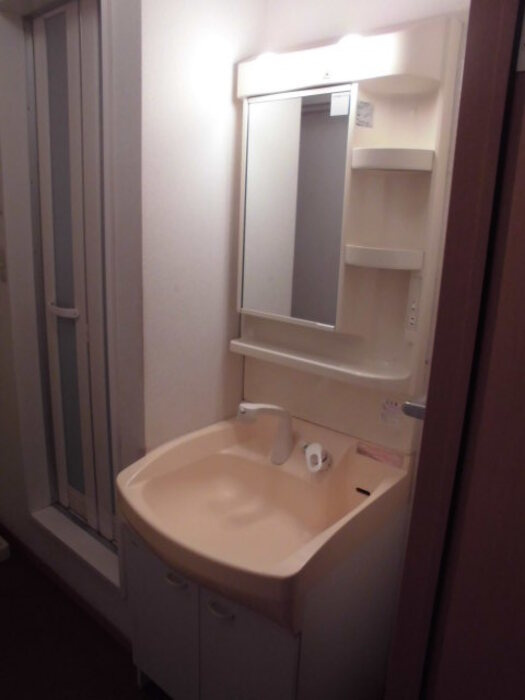 ファミールメゾンの洗面所