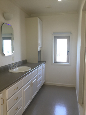 【その他】 | ジョイフルミント