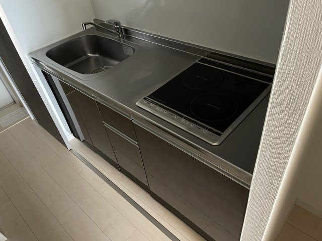 川崎市多摩区菅３丁目の賃貸マンションのキッチン