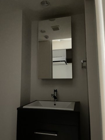 川崎市多摩区菅３丁目の賃貸マンションの洗面所