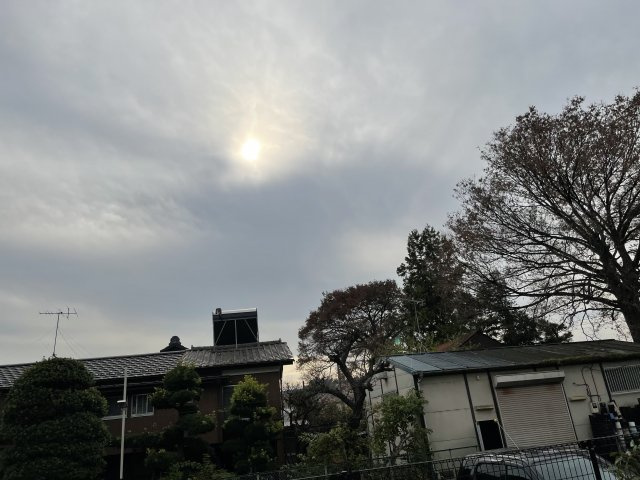 川崎市多摩区菅３丁目の賃貸マンションの展望