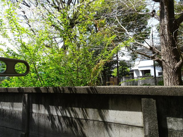 【展望】 | FAMILLE　INOUE