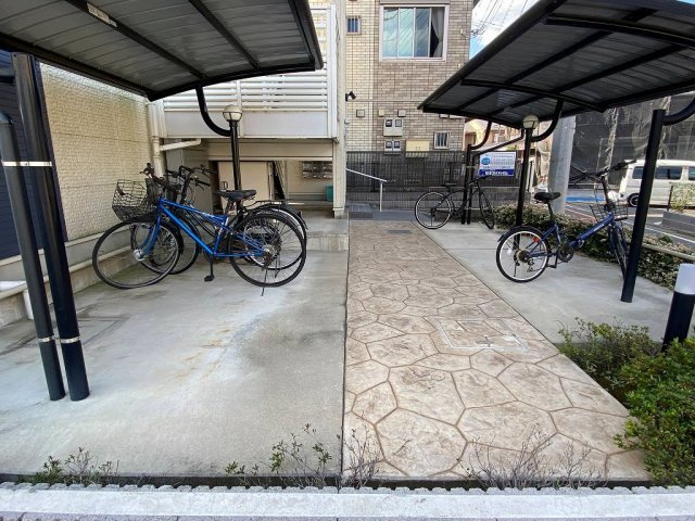 レオネクストパタータのその他