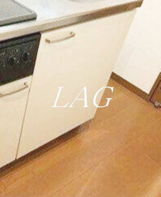 【収納】 | リスレーヌ蔵前 | キッチン下収納です。