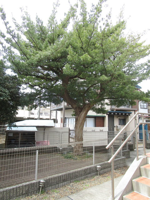 グランコート中山のその他共用部分|★敷地内ドッグラン★