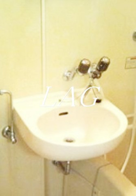 【洗面所】 | プラザドゥクリムゾン | 洗面台です。