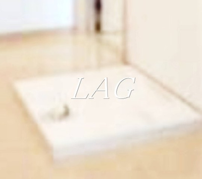 【設備】 | ＧＲＥＥＮＣＯＵＲＴ | 室内洗濯機置き場です。