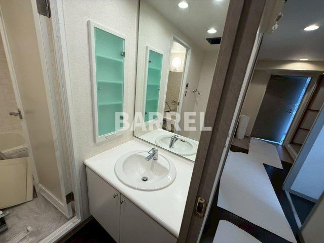 グランフォルク豊中の独立洗面台