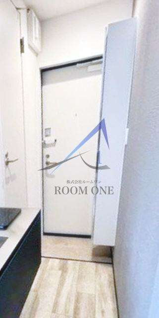 HANABUSAⅥの玄関|玄関です。