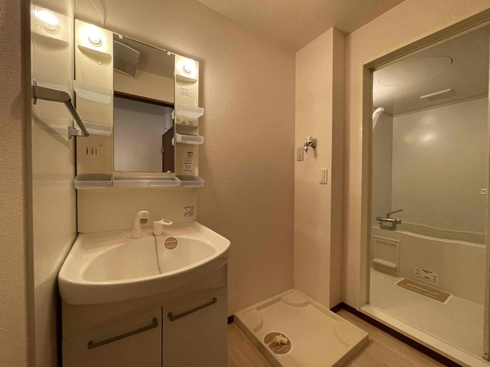 サニーハウス東 Ｃの洗面所