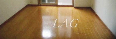 【居間・リビング】 | ステージグランデ日本橋 | 洋室のお部屋です。