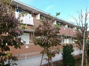 カサブランカ・ファイブ