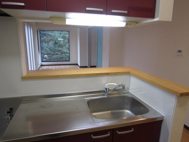 １LDK　コスタ・デル・ソル：天久保３丁目　筑波大学大学会館２００ｍのキッチン|シンクも広々です（１０１号室の写真です。）