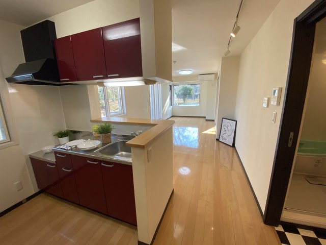 １LDK　コスタ・デル・ソル：天久保３丁目　筑波大学大学会館２００ｍのキッチン|キッチンでお料理をお楽しみください（101号室の写真です）