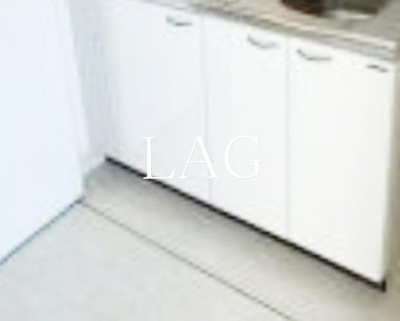 【収納】 | シンシア白金高輪 | 収納です。