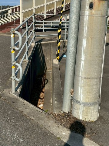 星原町　売土地の外観