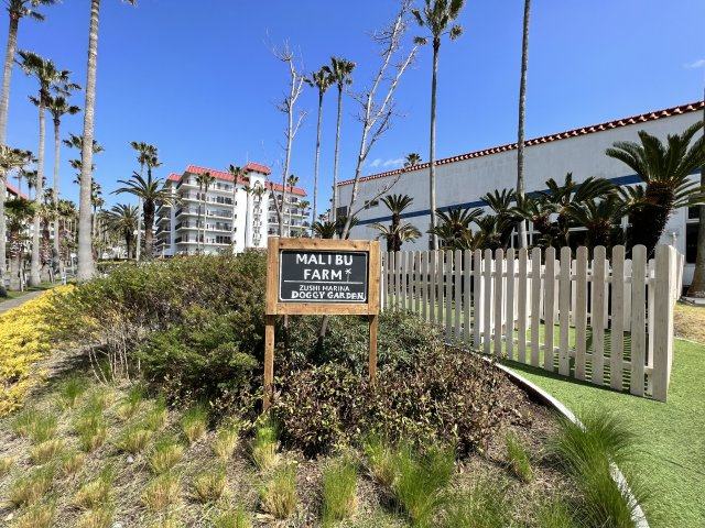 海見え！「逗子マリーナ２号棟」3階の周辺|ドッグラン