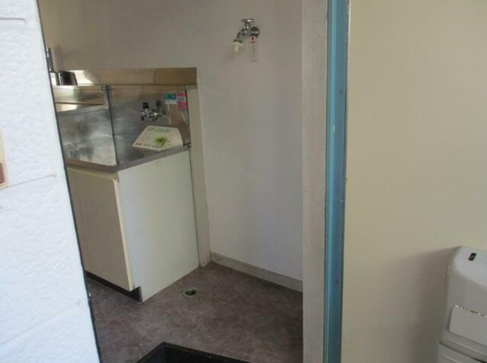 ドムスホワイト