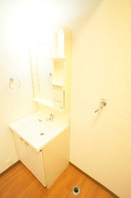 未貴ハイムＣ棟の洗面所|独立洗面台！
