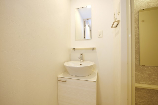 エスリード大阪ＣＥＮＴＲＡＬ　ＡＶＥＮＵＥの洗面所