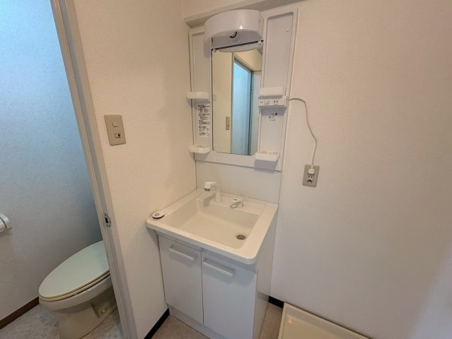 シティパレス真弓の洗面所