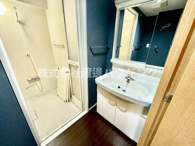 プロムナード豊中の洗面所