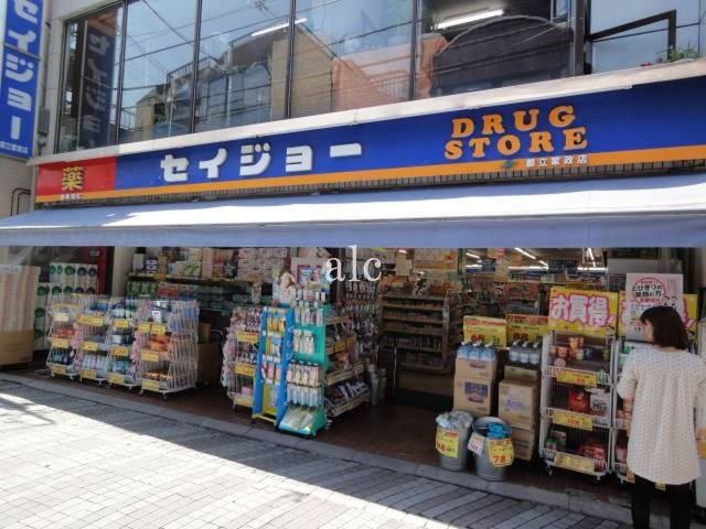 シェスタミモザの周辺|周辺施設です