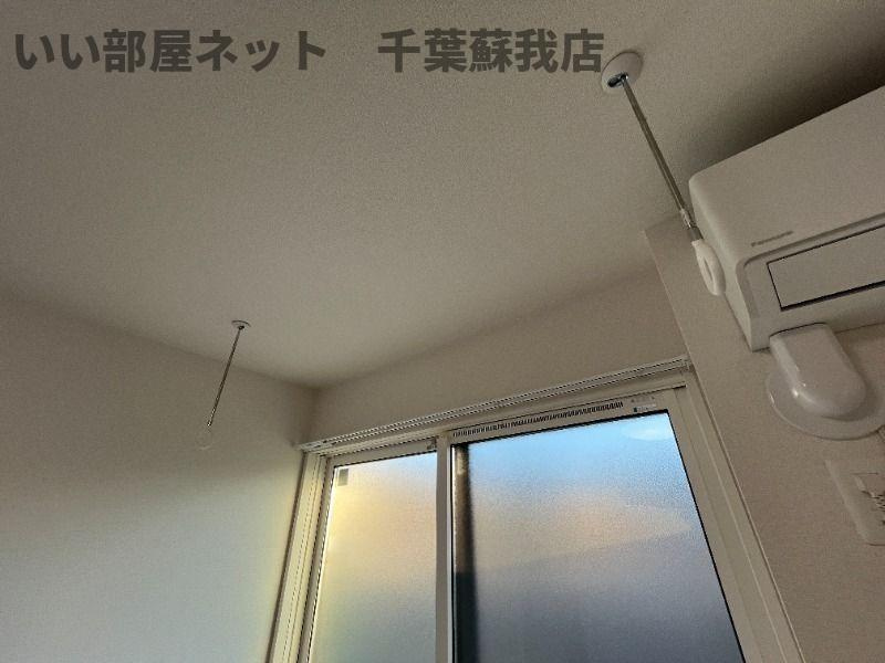 Cortesiaのその他