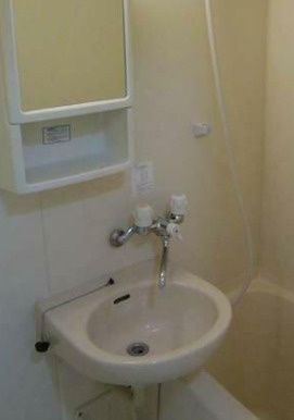 ガラ・シティ高田馬場の洗面所