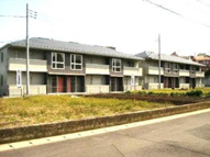 ステラ Aの画像