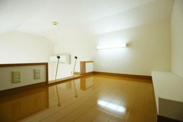 グレースベガのその他