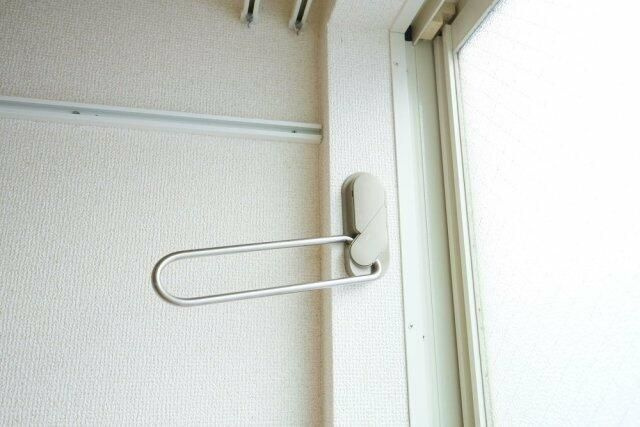 グレースベガのその他