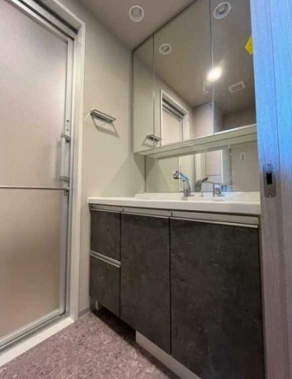 ラグゼナ用賀　駅近　ペット相談　高層階の洗面所