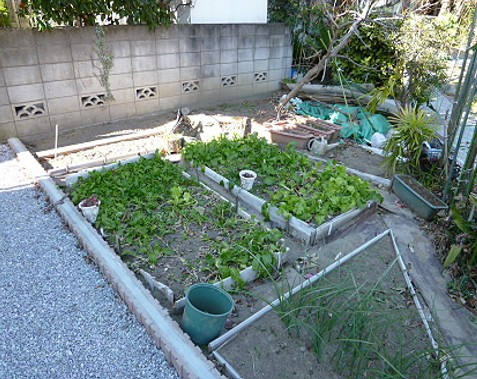 バームハイムの庭