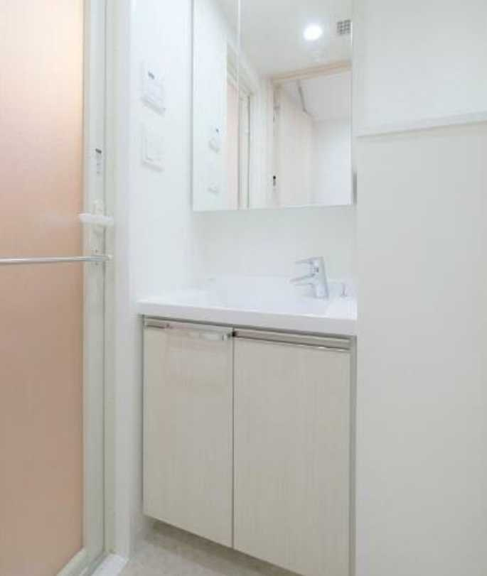 プレミアムキューブ上野毛＃mo　ペット相談　ネット無料　築浅の洗面所