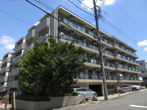 ピアチェーレ宮前平の画像