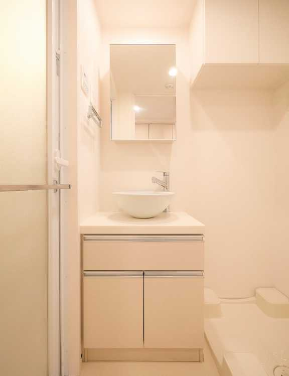 PREMIUM CUBE G 三軒茶屋　ペット飼育可　ネット無料　分譲賃貸の洗面所