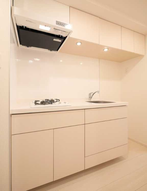 PREMIUM CUBE G 三軒茶屋　ペット飼育可　ネット無料　分譲賃貸のキッチン