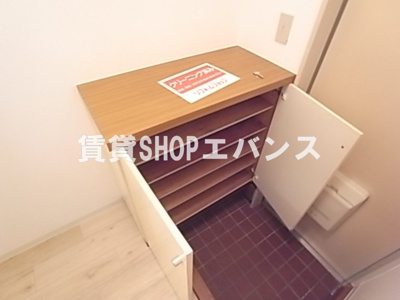  | スタディオルイ