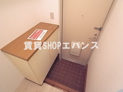  | スタディオルイ